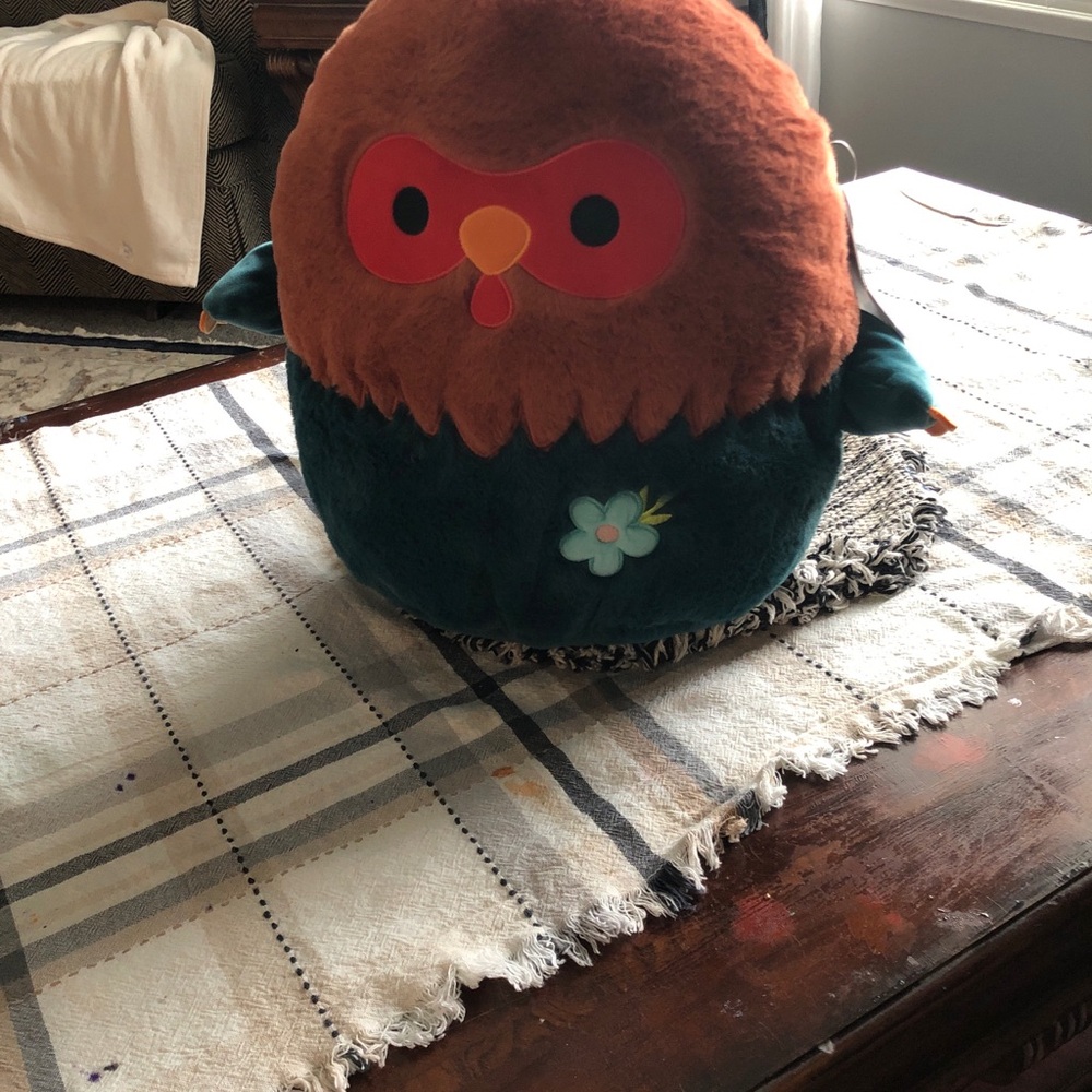 Reed the squishmallow